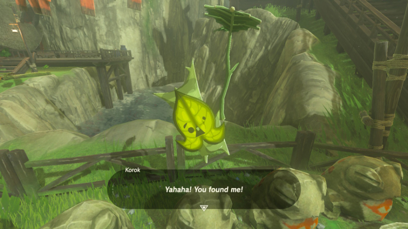 Korok Seed